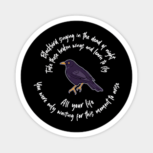 Blackbird Singing with Bird Wings - Lyrics Artist Magnet